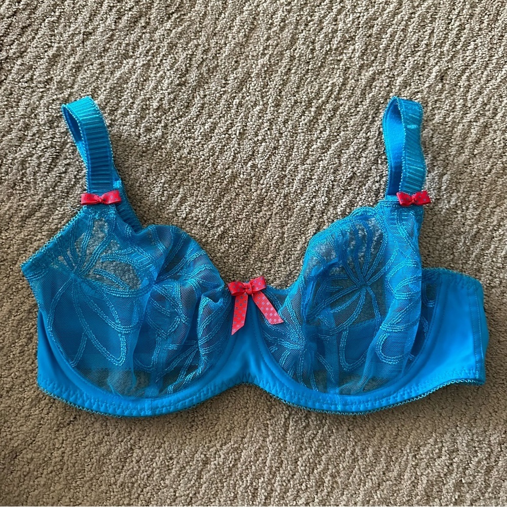 Blue Lace Bra